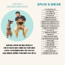 힐링그루밍 이미지