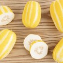 금사농장 이미지