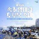 일원본-106 | 2025 속초 별미의 향연 양미리・도루묵 축제 첫날 후기(feat. 시간, 주차장, 가격 등)