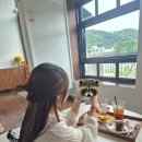 오유알헤어 | [OUR헤어] 야음동 미용실 추천 오유알헤어, 야음동 염색 맛집, 샴푸 맛집 , 내돈내산 머리 후기