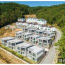 알펜시아임대