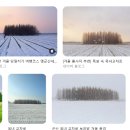 종금주유소 | [군산 여행] 자차로 떠나는 군산 당일치기 코스 (옥녀...야미도 꽃게) 망한 후기 주차 위치 가는법 네비