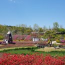 대청호 자연수변공원 이미지