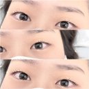 테오트리안양