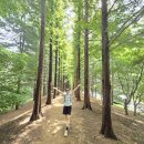 행복한과학예술융합연구소 | [ 광명 숨은 명소 탐방기 2탄 ]메타세쿼이아 군단과6,900원 쌀국수까지 완벽했던 광명 여행