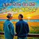 노후의 건강한 삶을 위한 '낙상 예방교육', 국가자격보건교육사협회 이미지