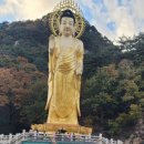 정이품송 공중화장실 | 충청북도 보은에서 즐기는 보은으로 5GO 미션투어, 11월, 아이랑 함께 떠나는 1박2일 캠핑 가을단풍여행...