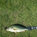 도하저수지 이미지