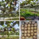 엘림농장 이미지