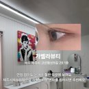 가벨라뷰티 | 제주시속눈썹펌 가벨라뷰티 또렷한 블랙틴팅 후기 유지기간·효과 정리