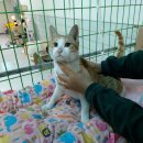 장량국민체육센터 이미지