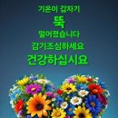 2월5일(수) 숭이님들 출석하세용 이미지