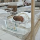 새봄산후조리원 이미지