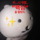 유쓰피릿 16기 면접 합격 후기