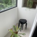 바우트 이미지