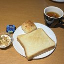 유성천 | 작년에 다녀온 후쿠오카 여행기 지금 올려도 됩니까?