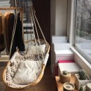 브랜치스(branches)