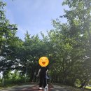 맥도생태공원 | 부산 주말 나들이 맥도생태공원 산책 후기 (애견동반) 데이트 장소로 추천