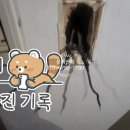 대광전파사