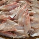 유디티수산 이미지