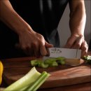 천지명인 이미지