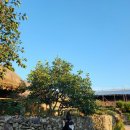 덕현이네민박 이미지