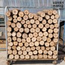 영농조합법인대륙(대륙제2태양광발전소) | [공지] 표고접종목 생산, 판매합니다.