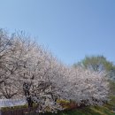 하이쿠 이미지