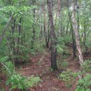 김삿갓면-20 이미지