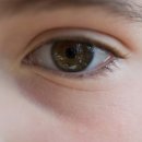 쉬즈성형외과의원 이미지