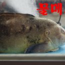 충무횟집 이미지