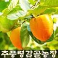 감골농장 이미지