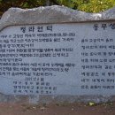 청라푸른담쟁이 이미지
