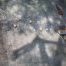 소원경로당 이미지