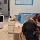 엘리시안퍼피 이미지