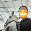 엘리트 승마스쿨 네이버블로그