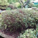 전지보건진료소 이미지