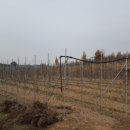 오가면010 이미지