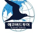 에코버드투어