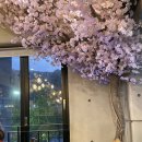 월광수변공원 인라인스케이트장