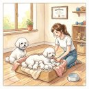 브리더독 | KKF 반려동물종합관리사 자격 공부, PART 5. 브리더 윤리 및 애견 번식