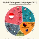 국가별 전 세계의 멸종 위기에 처한 언어 이미지