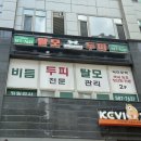 모락스칼프 | 강남탈모 강남두피관리 닥터모락 강남 두피관리 후기