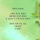 콩깍지 - 전주시 완산구 태조로 18 | 콩깍지
