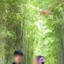 이니시오웨딩