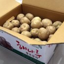 당진시농협해나루조합공동사업법인 이미지