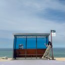 나의 일상 기록 (26.06.01 ~ 06.14)