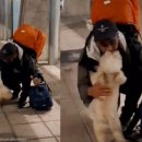 남부공항서비스(주) 이미지