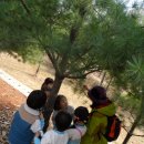 두일초교(병설) 이미지