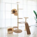 오로라 캣 이미지